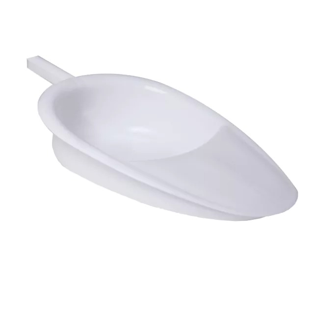 P509  CHATA