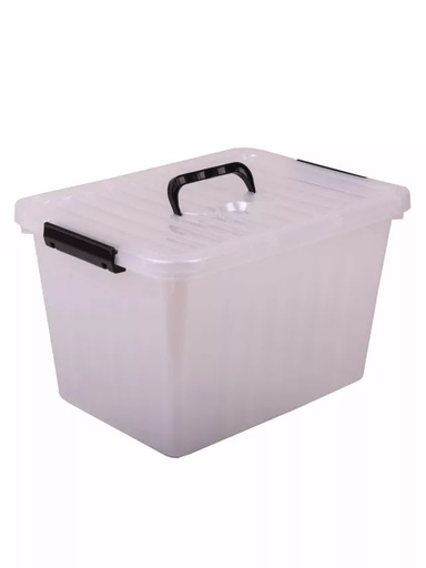 P203 CAJA ORGANIZADORA GRANDE TRANSPARENTE